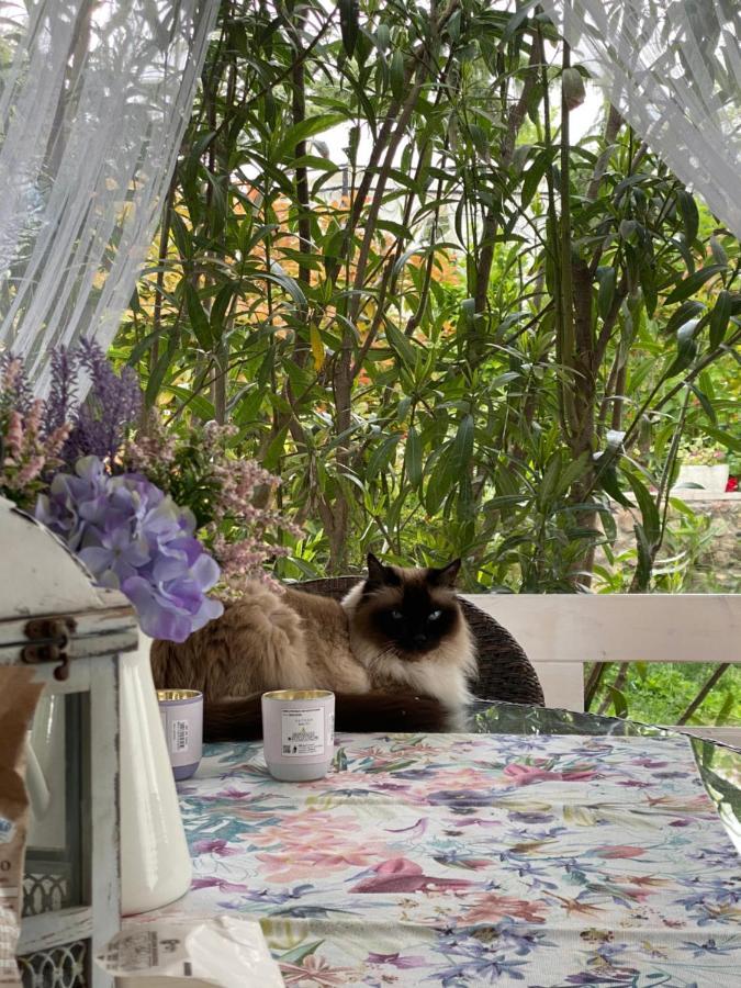 B&B La Terrazza Pozzolengo Luaran gambar
